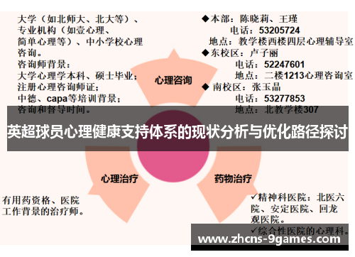 英超球员心理健康支持体系的现状分析与优化路径探讨